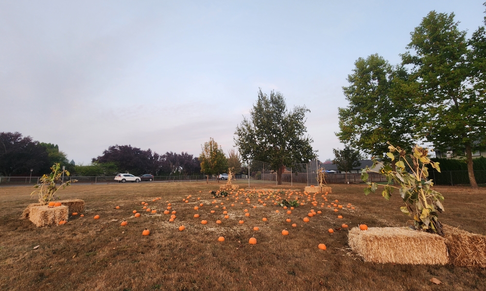 columbus elementary school